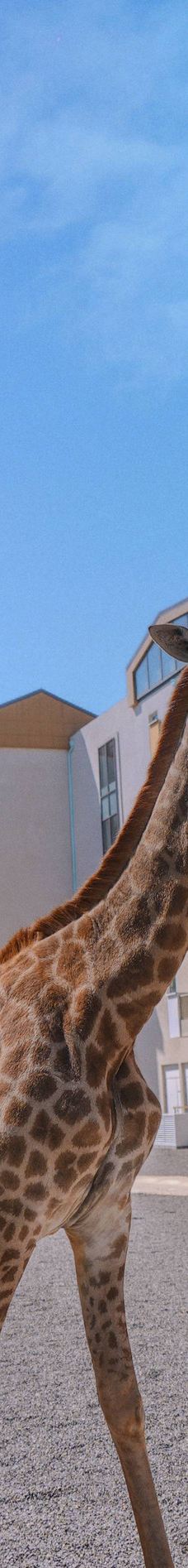 渔田七里海度假区-昌黎