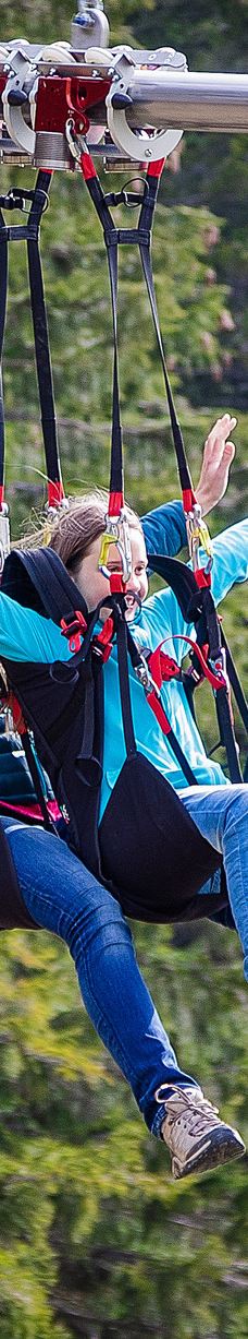 皮拉图斯山-阿尔卑纳赫