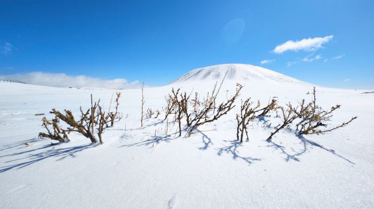 2-day 1-night · Private Tour · China + Inner Mongolia + Ulanqab + Huitengxile Grassland + Wulanhada Volcano Geopark