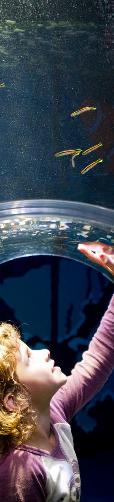 墨尔本水族馆-墨尔本