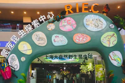 上海大自然野生昆虫馆（东方明珠•爬宠昆虫探索中心）