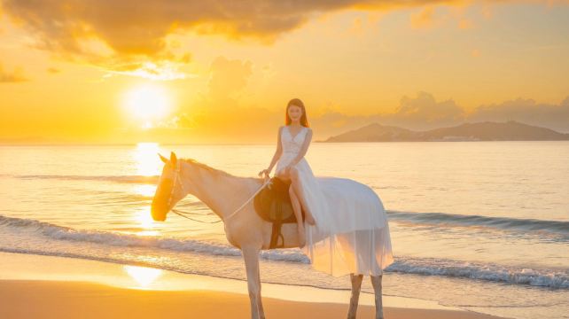 三亚骑马Seahorse野骑马场