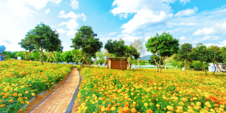 光明農場大觀園