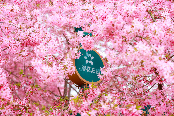 漫花庄园