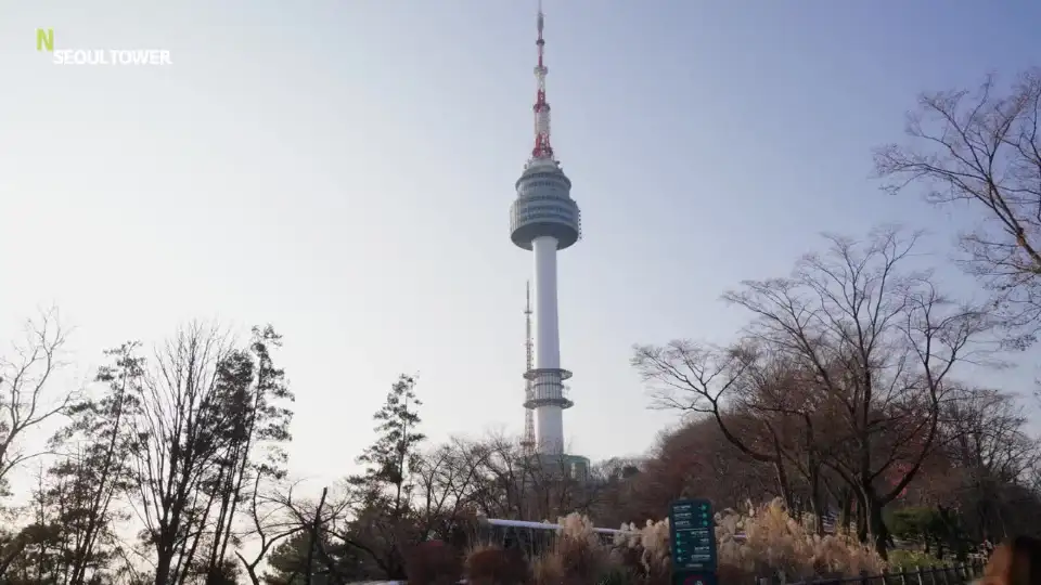 top-video
