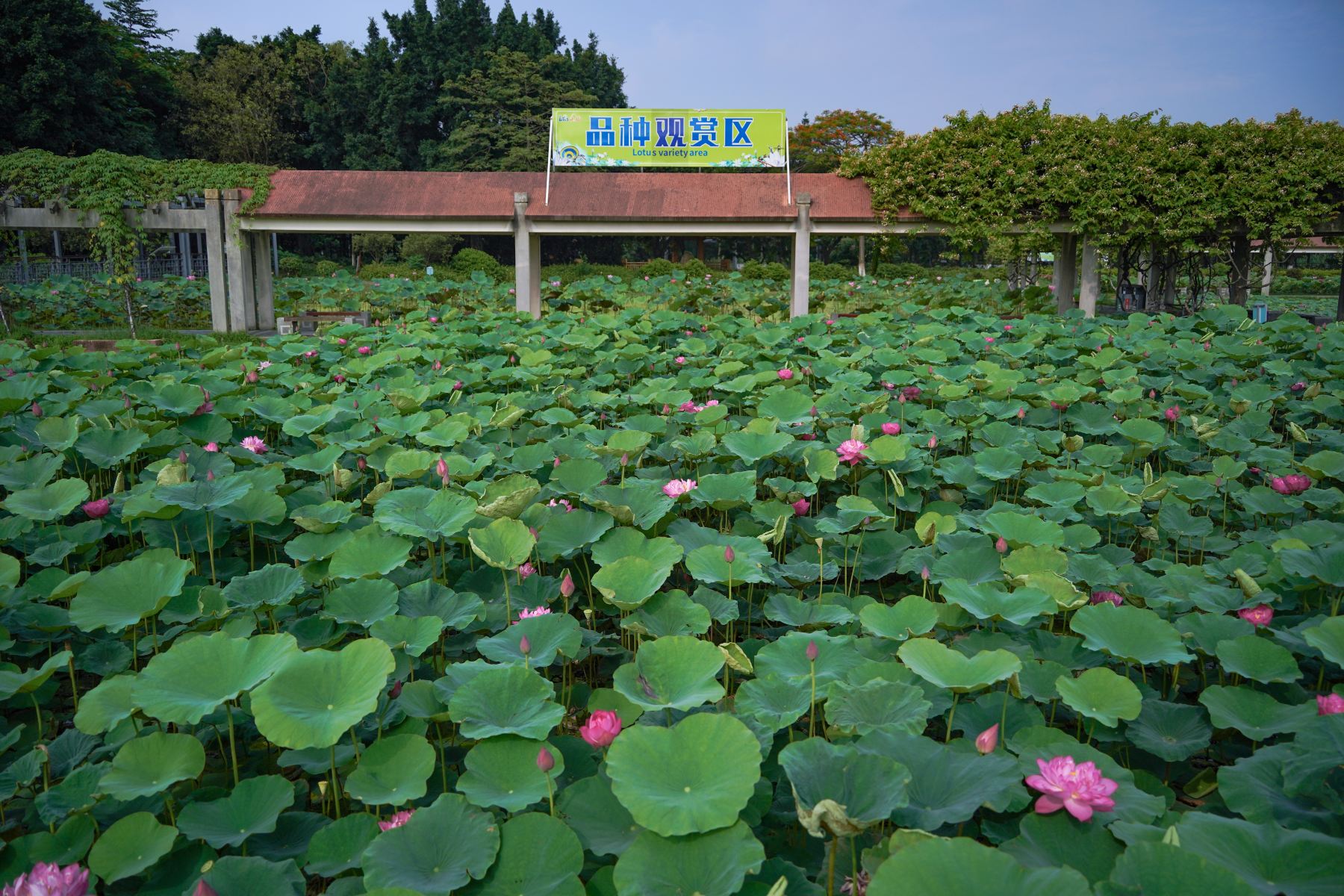 Gallery 1