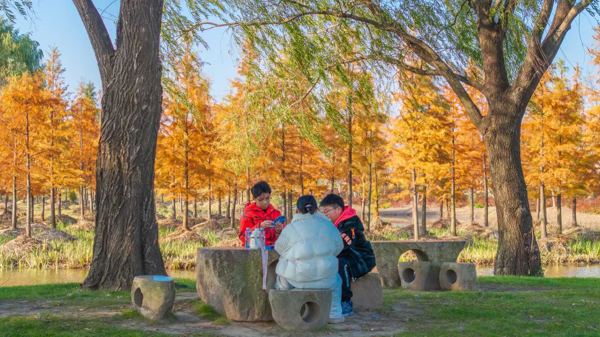 南通洲际梦幻岛景点图片