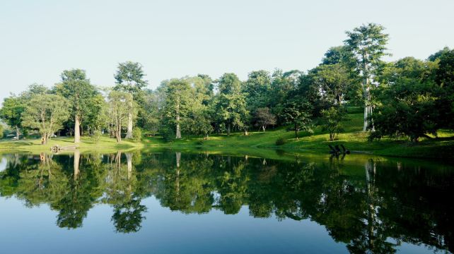 凯森千年古树园