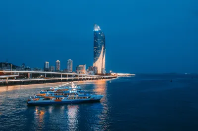 鹭江夜游
