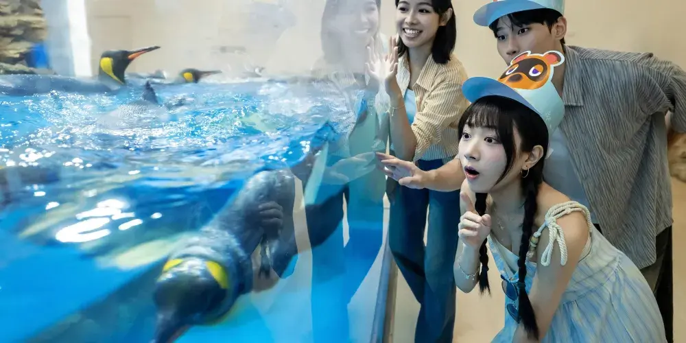 永安旅遊