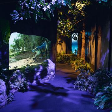 澳大利亚悉尼+堪培拉+墨尔本9日8晚拼小团