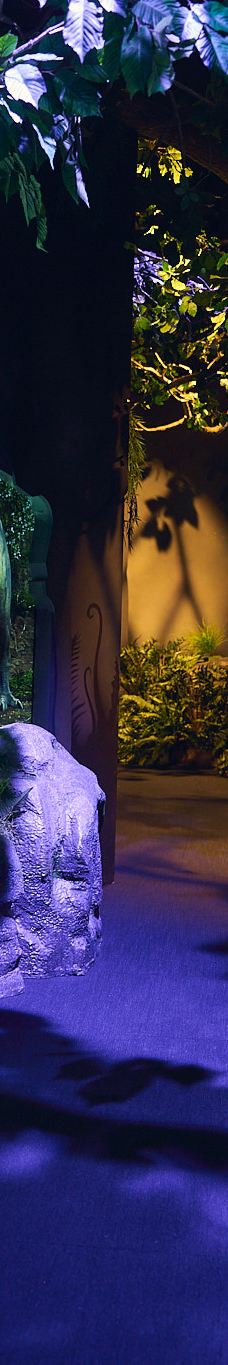 墨尔本博物馆-卡尔敦