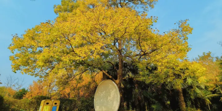鄭州黃河文化公園