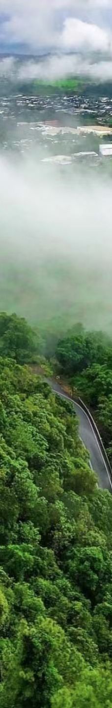 库兰达考拉花园-库兰达