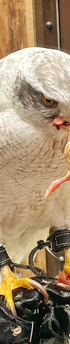 兰阳动植物王国-宜兰