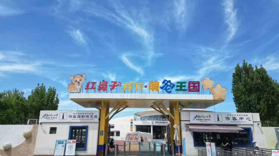 红鼻子成长萌宠王国