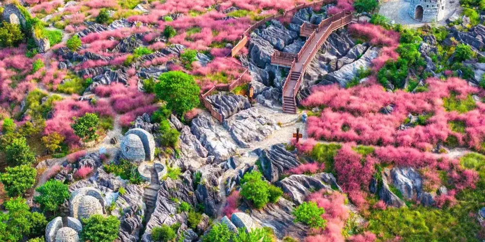 永安旅遊