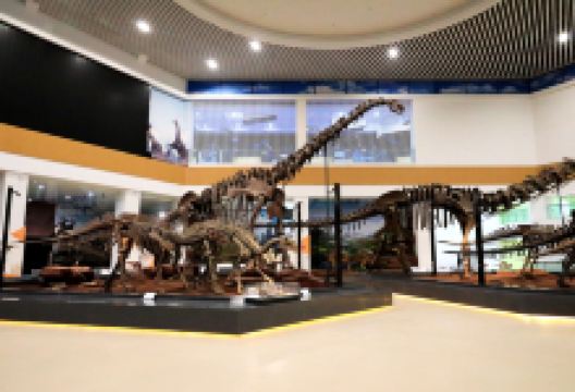 刘家峡恐龙国家地质公园景点图片