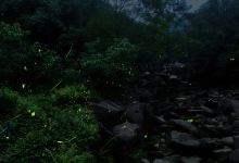 成都天台山旅游景区景点图片