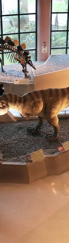 台湾自然科学博物馆-台中