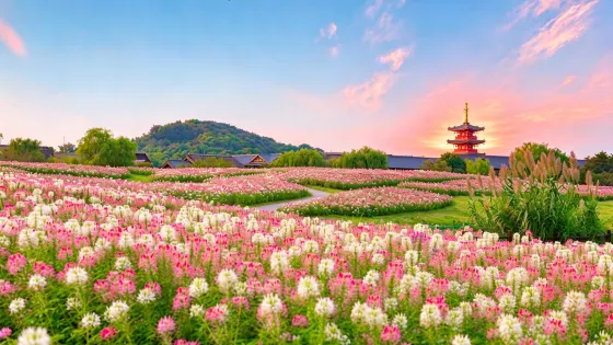 禪意小镇·拈花灣