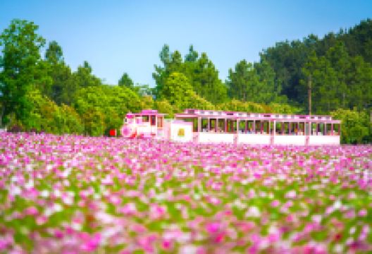 木兰草原景点图片