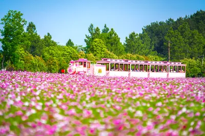 木兰草原