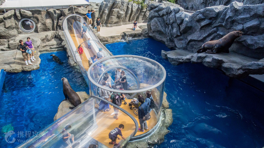 鳥羽水族館