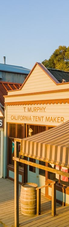 疏芬山-Golden Point