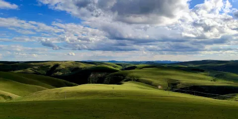 鄂爾多斯大草原