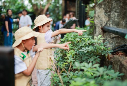 广州长隆野生动物世界一日游【长隆门票+森林小火车+缆车】【私家小团丨小众玩法丨独立包车丨车型可选丨优选行程丨管家服务丨上门接送】