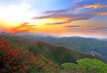 阳明山国家森林公园景点图片