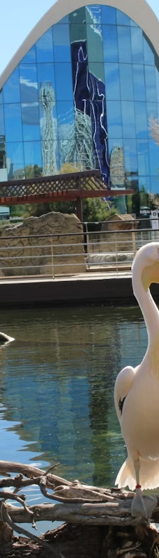 瓦伦西亚海洋公园-瓦伦西亚