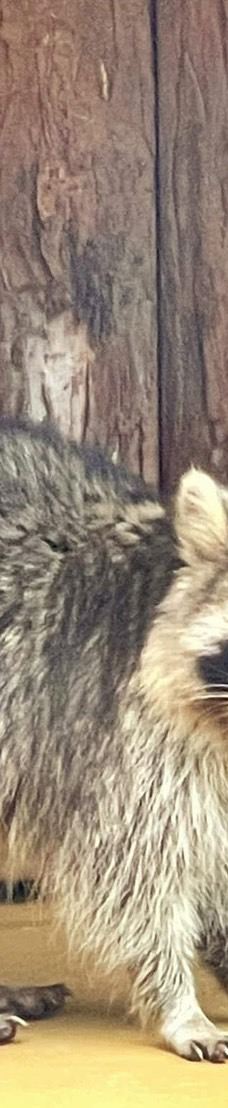 兰阳动植物王国-宜兰