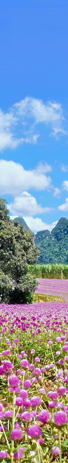 峒那屿湾景区-大新