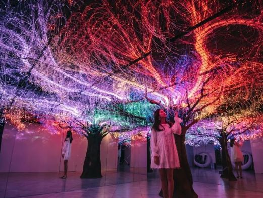 粑粑王国奇幻空间