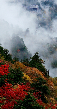 峨眉山-峨眉山