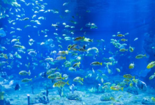 兰州极地海洋世界景点图片