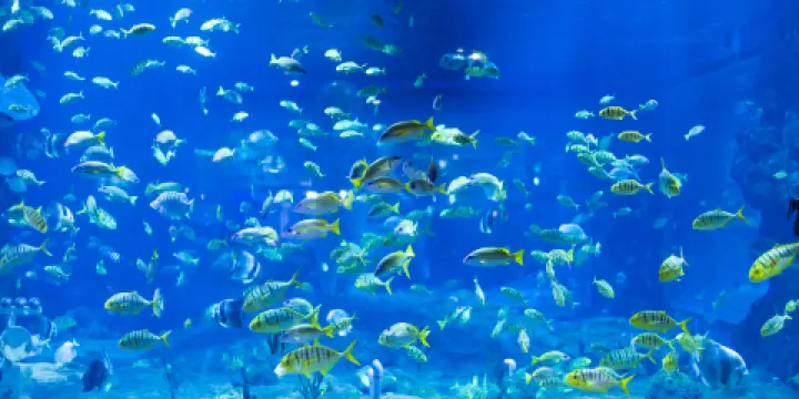 蘭州極地海洋世界