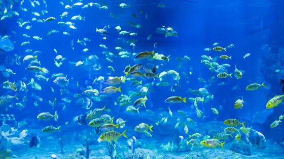 蘭州極地海洋世界