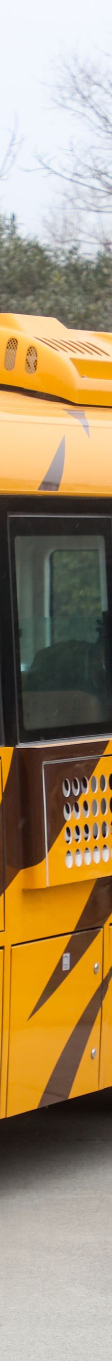 上海野生动物园-上海