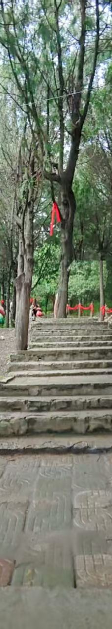 龟山望龙洞风景区-枣庄