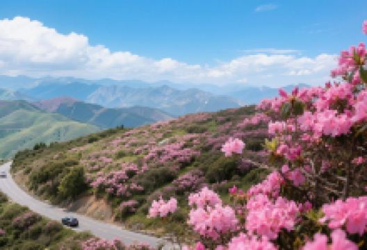 神农架风景区景点图片
