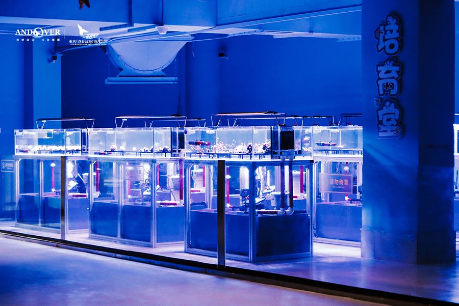 Gallery 1