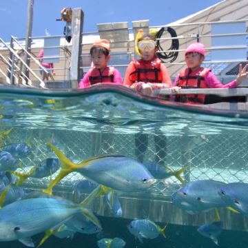 澳大利亚黄金海岸+布里斯班+凯恩斯11日10晚自由行