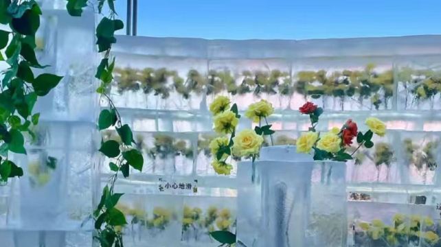 青岛西海岸冰雪大世界