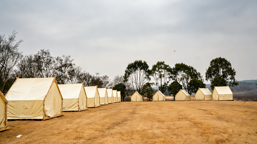 万紫千红飞鸟大世界