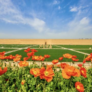 河南洛阳+老君山景区+白马寺+龙门石窟+清明上河园+只有河南·戏剧幻城+殷墟+红旗渠+太行大峡谷景区+万仙山景区8日7晚拼小团