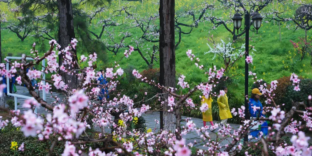 永安旅遊
