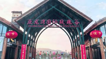 三亚亚龙湾国际玫瑰谷